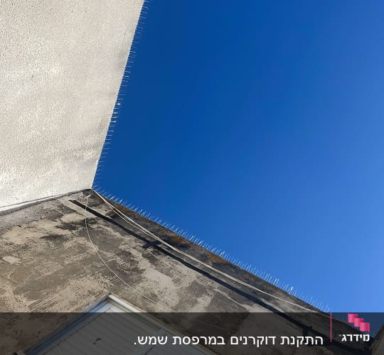 דוקרנים על קיר למניעת יונים